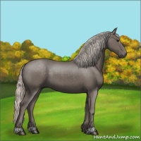Horse Color:Silver Black 
