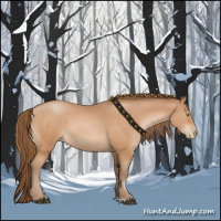 Horse Color:Bay Pearl 