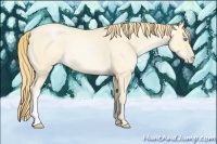 Horse Color:Buckskin Roan Pearl 