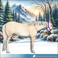 Horse Color:Palomino Pearl 