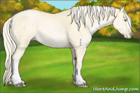 Horse Color:Palomino Pearl 