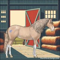 Horse Color:Gold Champagne Appaloosa 