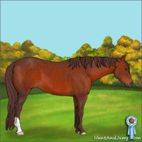 Horse Color:Chocolate Brown