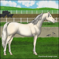 Horse Color:Palomino Pearl 