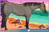 Horse Color:Grullo 