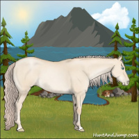 Horse Color:Palomino Pearl Dun 