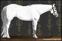 Horse Color:Black Tobiano Near Fewspot