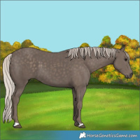 Horse Color:Silver Black 