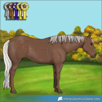 Horse Color:Silver Black 