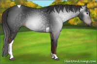 Horse Color:Gray Liver Chestnut Tobiano 