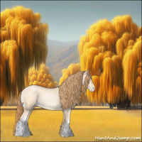 Horse Color:Buckskin Roan Pearl 