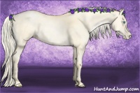 Horse Color:Palomino Pearl 