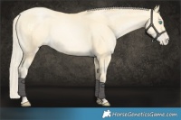Horse Color:Palomino Pearl 