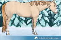 Horse Color:Gold Champagne Dun 