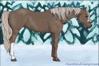 Horse Color:Silver Black 
