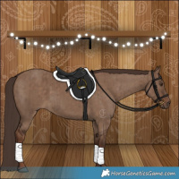 Horse Color:Liver Red Dun Brindle 