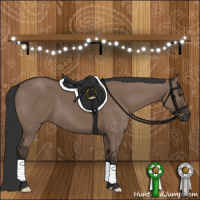 Horse Color:Liver Red Dun 