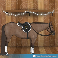 Horse Color:Liver Red Dun Brindle 