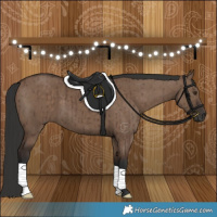Horse Color:Liver Red Dun Brindle 