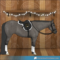 Horse Color:Grullo Brindle