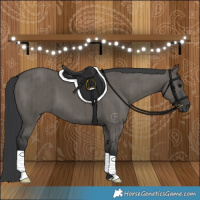 Horse Color:Grullo Brindle 