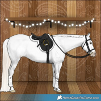 Horse Color:Chocolate Palomino Dun Appaloosa Brindle 