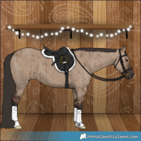 Horse Color:Liver Red Dun Brindle 