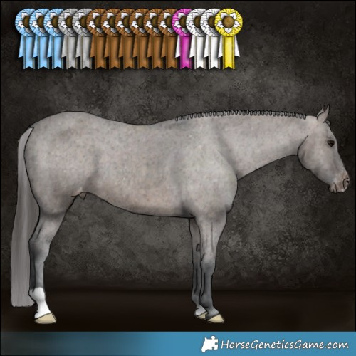 Horse Color:Brown Dun Appaloosa Brindle 