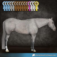 Horse Color:Brown Dun Varnish Brindle 
