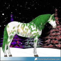Horse Color:Watercolor Liver Red Onyx Sabino Appaloosa