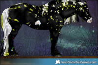 Horse Color:ERROR: UNKNOWN ANOMALY