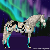 Horse Color:Watercolor Chocolate Palomino Onyx Sabino Appaloosa Rabicano 