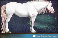 Horse Color:Watercolor Chocolate Palomino Onyx Sabino Appaloosa 