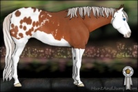 Horse Color:Silver Bay Splash Appaloosa 