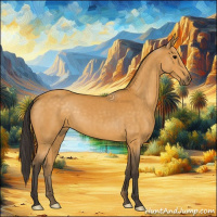 Horse Color:Buckskin 