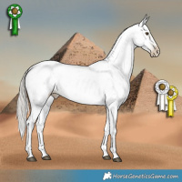 Horse Color:Gray Silver Black Pearl Sabino Rabicano 