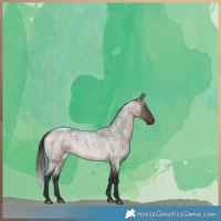 Horse Color:Brown Roan Dun 