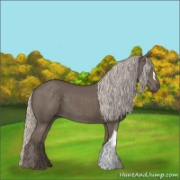 Horse Color:Silver Black 