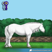 Horse Color:Gray Buckskin Pearl 