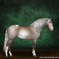 Horse Color:Gray Silver Black Pearl Tobiano 