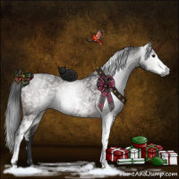 Horse Color:Gray White Spotted Bay