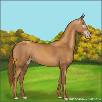 Horse Color:Gray Gold Champagne 