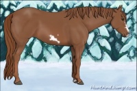 Horse Color:Chestnut Frame 