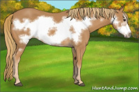 Horse Color:Chestnut Frame 