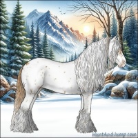 Horse Color:Chestnut Sabino 