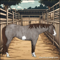 Horse Color:Liver Red Roan Frame 