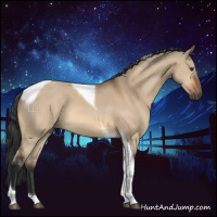 Horse Color:Bay Dun Tobiano 