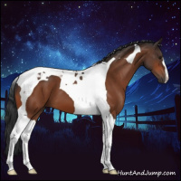 Horse Color:Bay Tobiano 