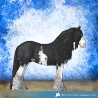 Horse Color:Black Sabino
