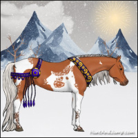 Horse Color:Silver Bay Tobiano 